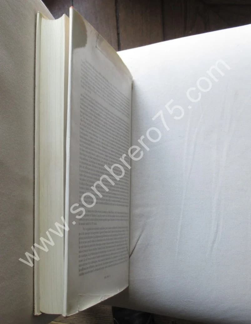 La Somme Pré Romaine et Romaine - Image 10