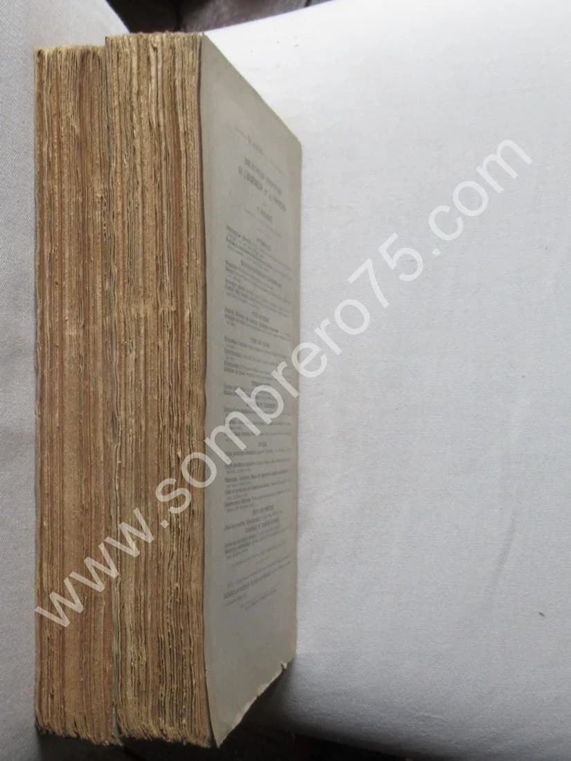 Pendule Spiral Diapason - - 2 Tomes - Image 7