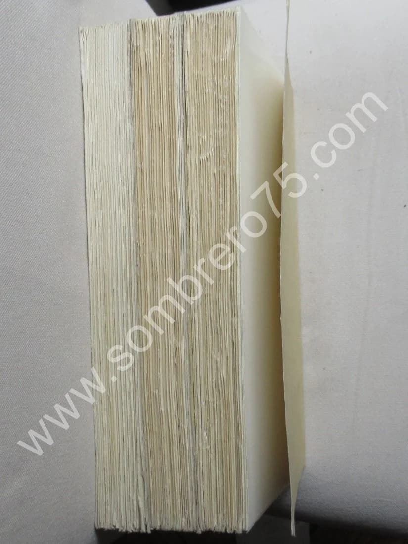 Bibliographie des Revues et Journaux Littéraires des XIXe et XXe Siècles. 3 Vol. J M PLACE - Image 12