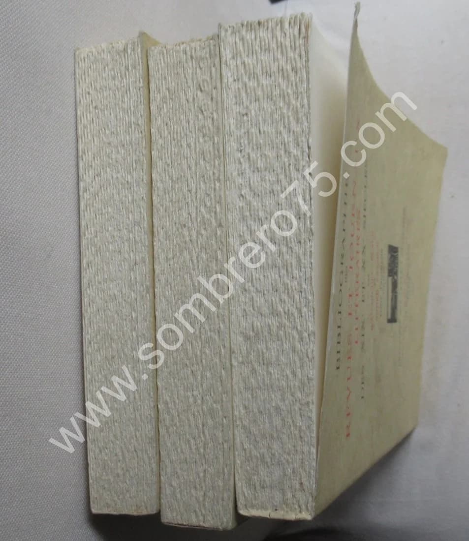 Bibliographie des Revues et Journaux Littéraires des XIXe et XXe Siècles. 3 Vol. J M PLACE - Image 13