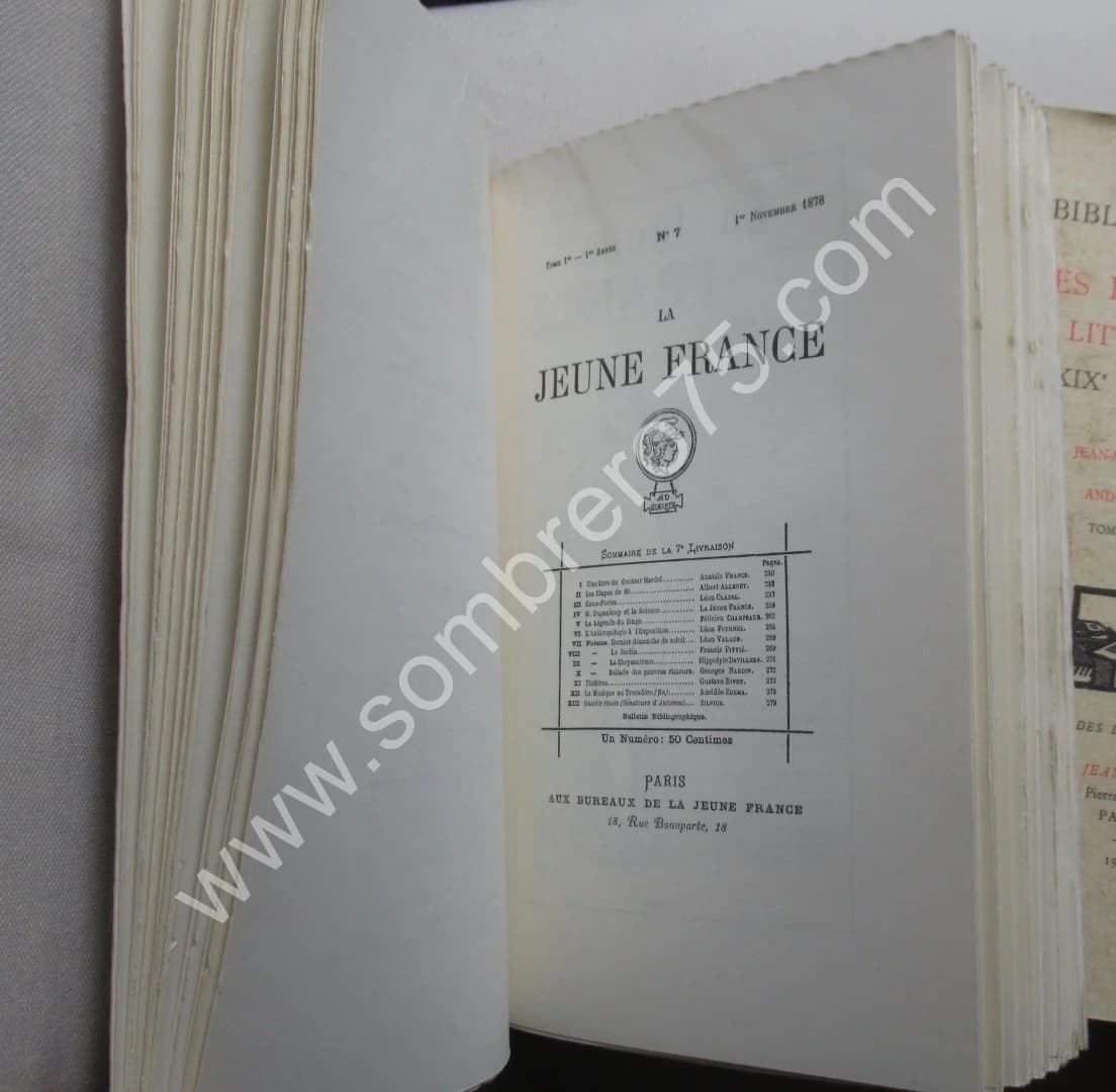 Bibliographie des Revues et Journaux Littéraires des XIXe et XXe Siècles. 3 Vol. J M PLACE - Image 4