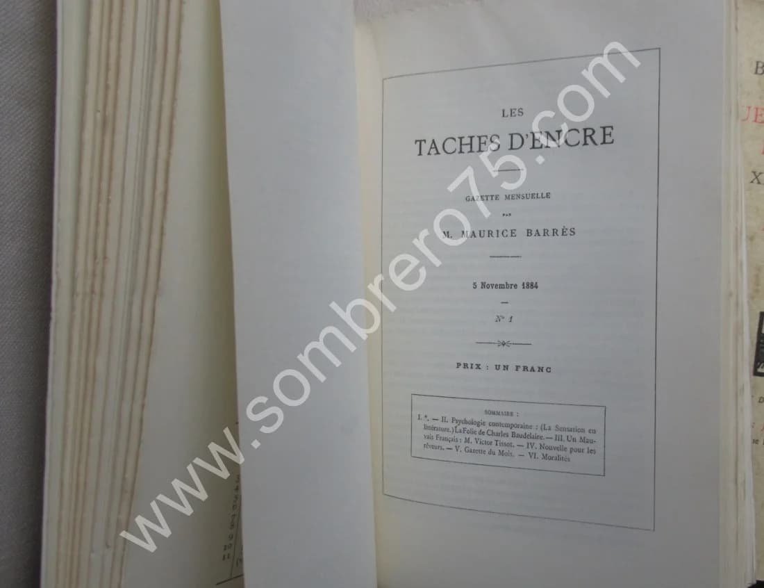 Bibliographie des Revues et Journaux Littéraires des XIXe et XXe Siècles. 3 Vol. J M PLACE - Image 7