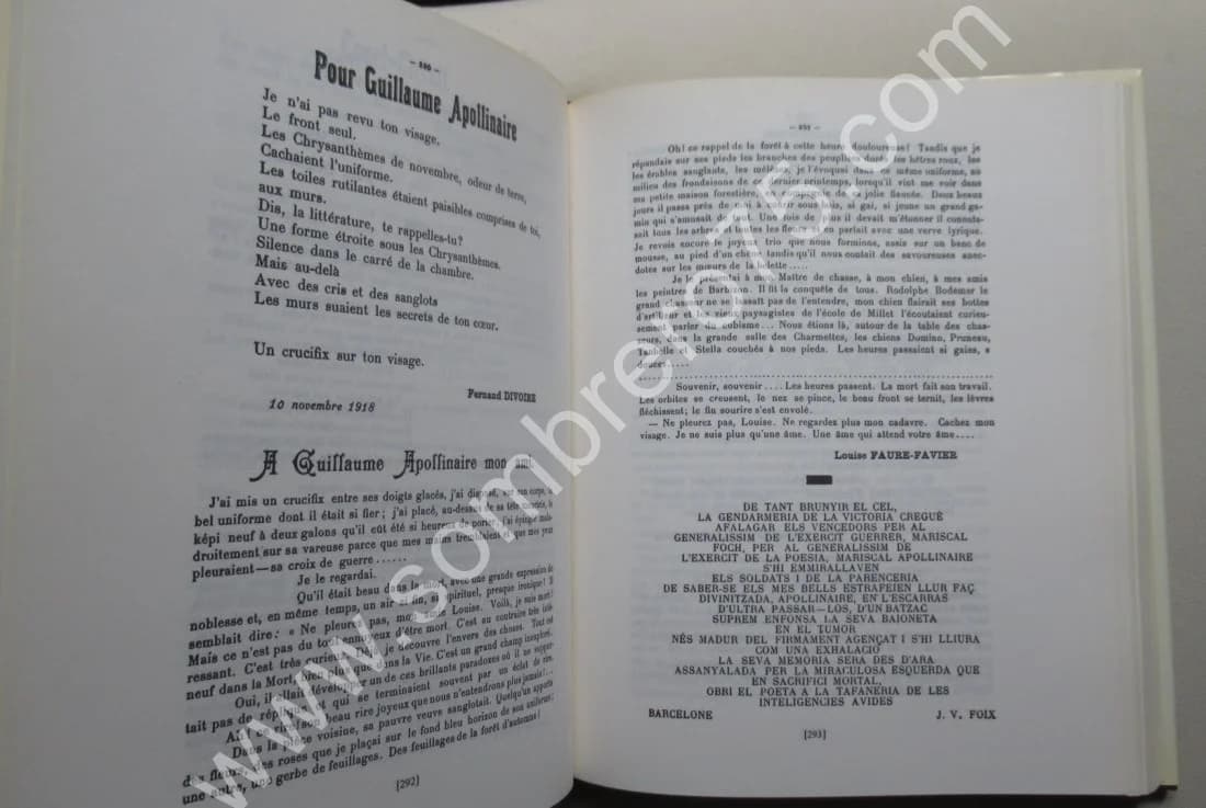 SIC - 1916 à 1919 - Image 6