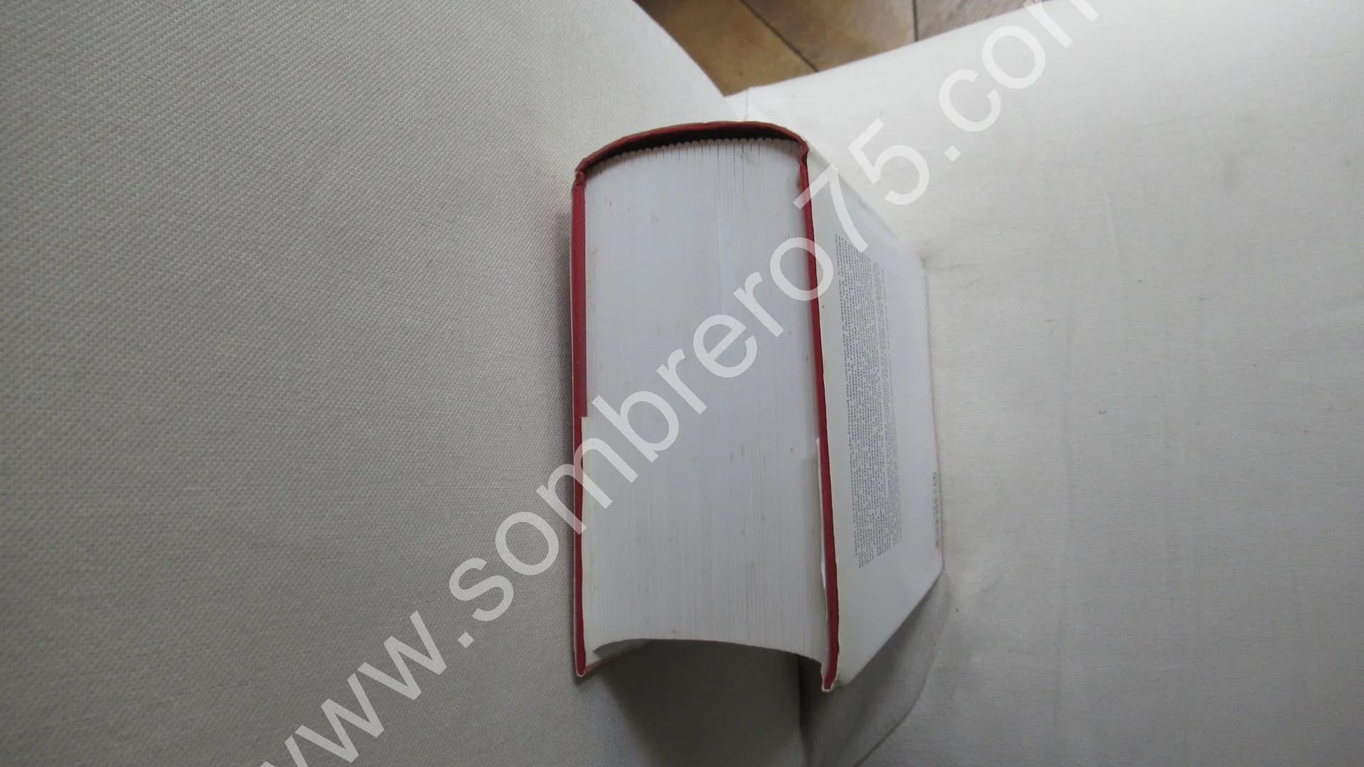 Correspondance de 1920 - Tome 19. Texte Établi et Annoté par Philip Kolb - Image 4