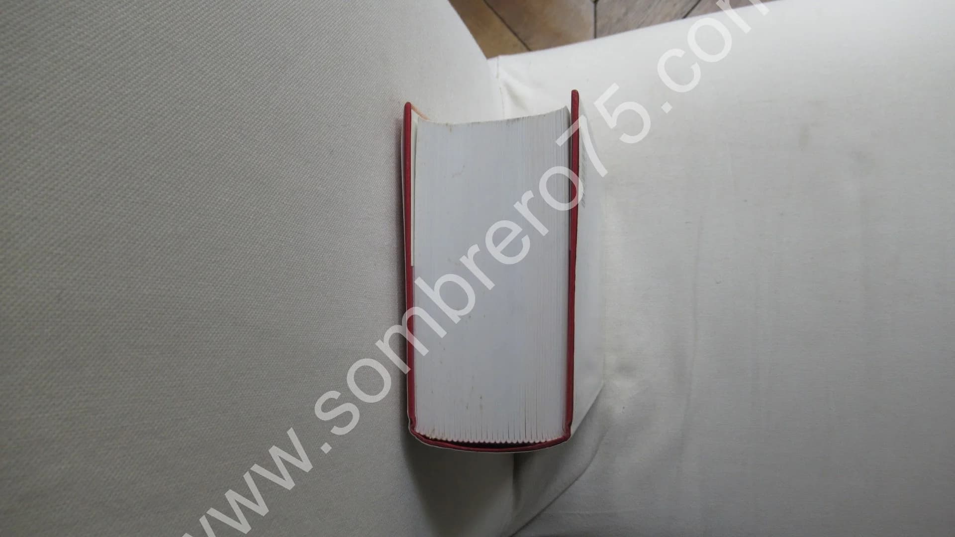 Correspondance de 1920 - Tome 19. Texte Établi et Annoté par Philip Kolb - Image 5