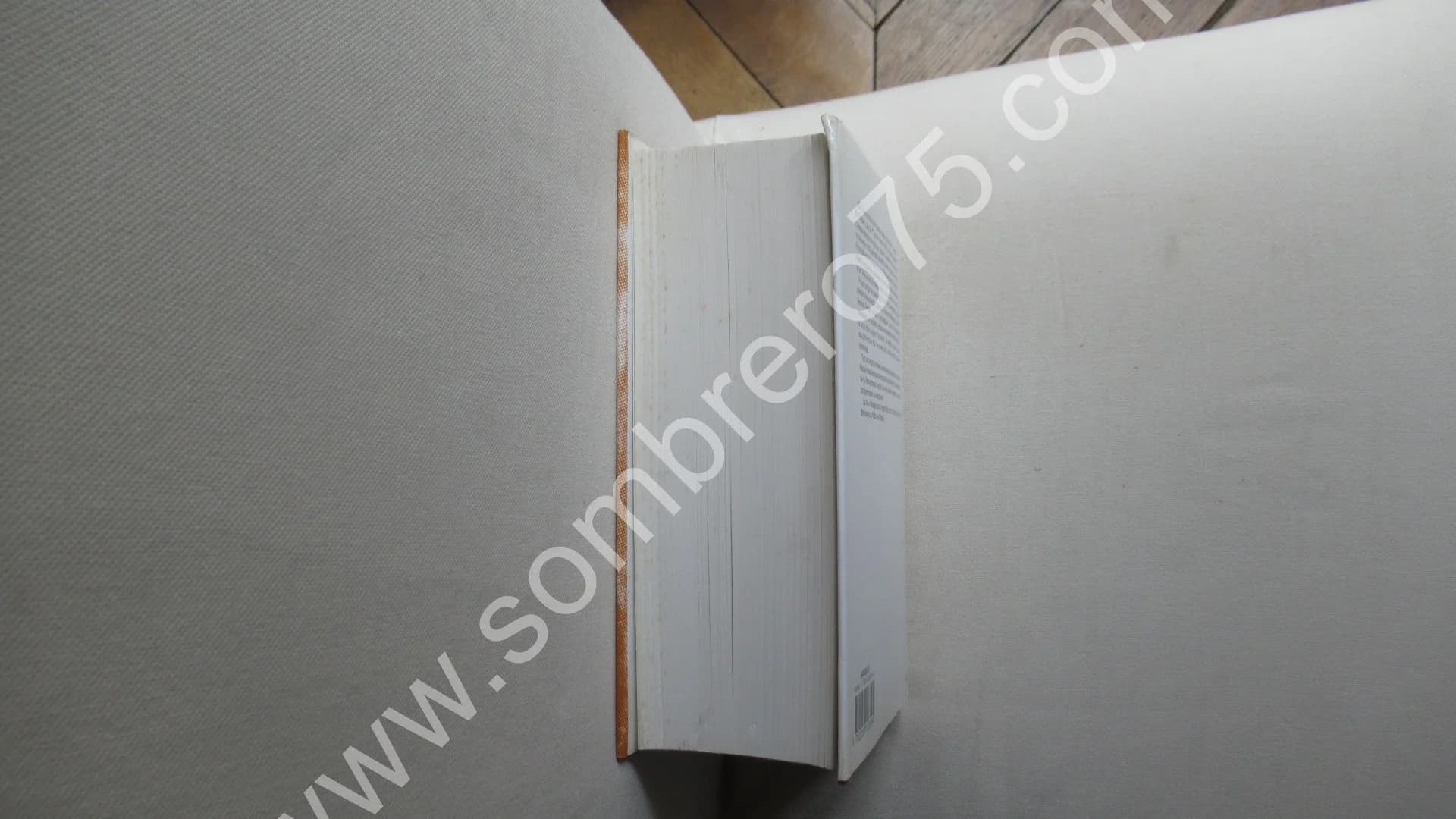 Correspondance de 1920 - Tome 19. Texte Établi et Annoté par Philip Kolb - Image 6