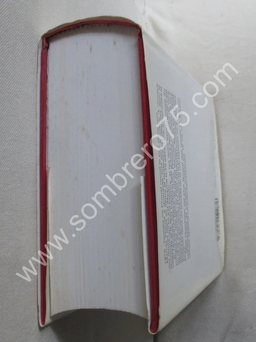 Correspondance de 1919. Tome 18. Texte Établi et Annoté par Philip KOLB - Image 4