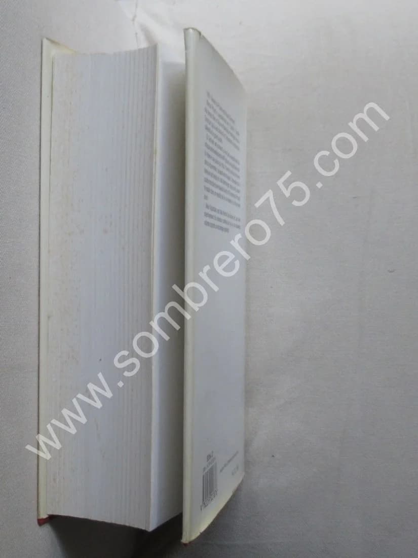 Correspondance de 1919. Tome 18. Texte Établi et Annoté par Philip KOLB - Image 7