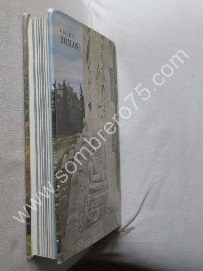 Ombrie Romane - Image 5