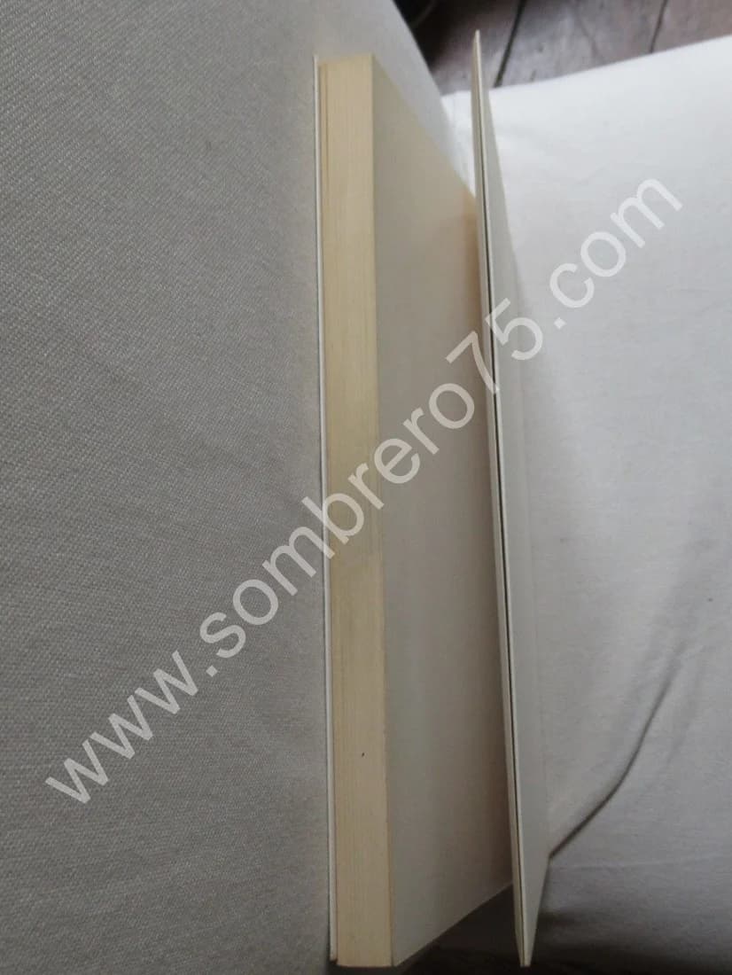 Pancho Ortuno : Dialogos con la Pintura de Fernando Zobel. Envoi de F. ZOBEL - Image 11