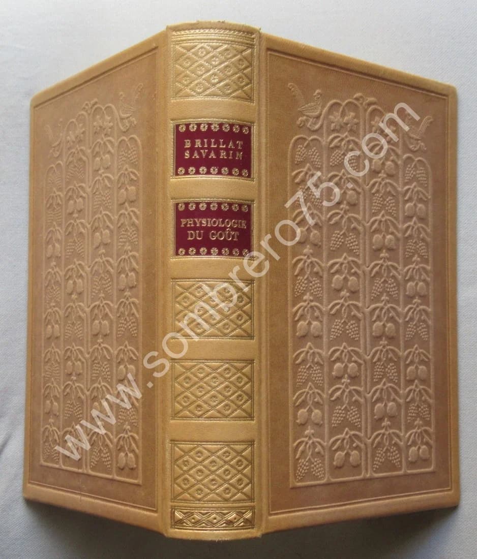 Physiologie du Goût