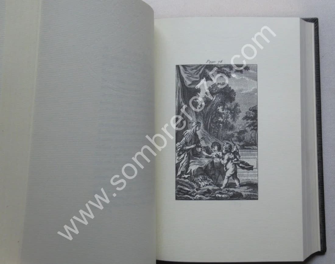 Eloge de la Folie - Image 5