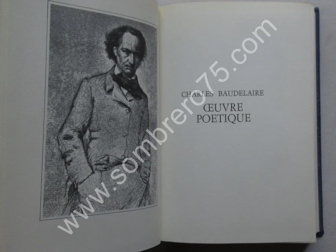 L'œuvre Poétique de Charles BAUDELAIRE - Image 3