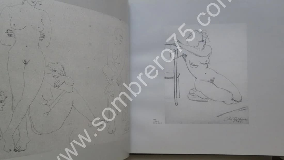 Chu Teh-Chun - Tournée d'Exposition 1988-89 - Image 10