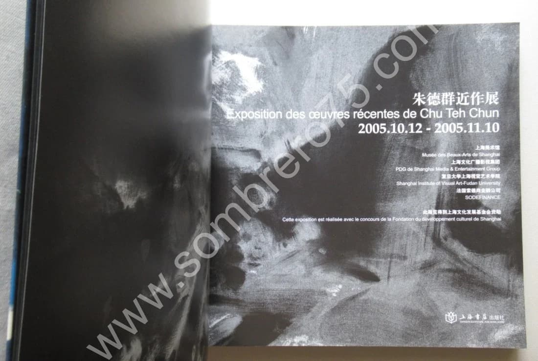 CHU TEH-CHUN Exposition des Oeuvres Récentes 2005 SHANGHAI - Image 3