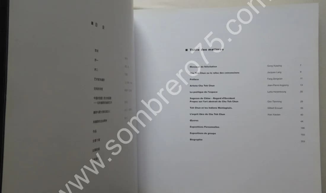 CHU TEH-CHUN Exposition des Oeuvres Récentes 2005 SHANGHAI - Image 4