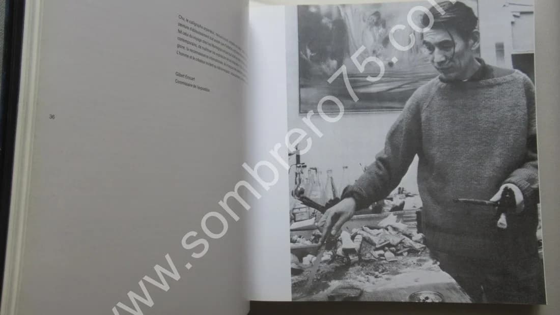 CHU TEH-CHUN Exposition des Oeuvres Récentes 2005 SHANGHAI - Image 6