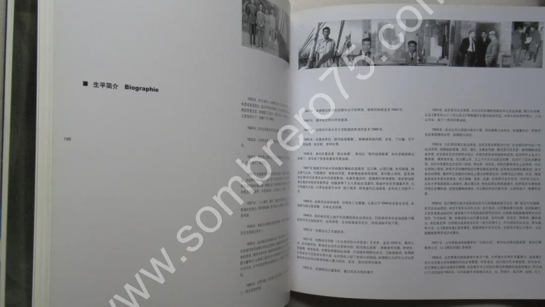 CHU TEH-CHUN Exposition des Oeuvres Récentes 2005 SHANGHAI - Image 10