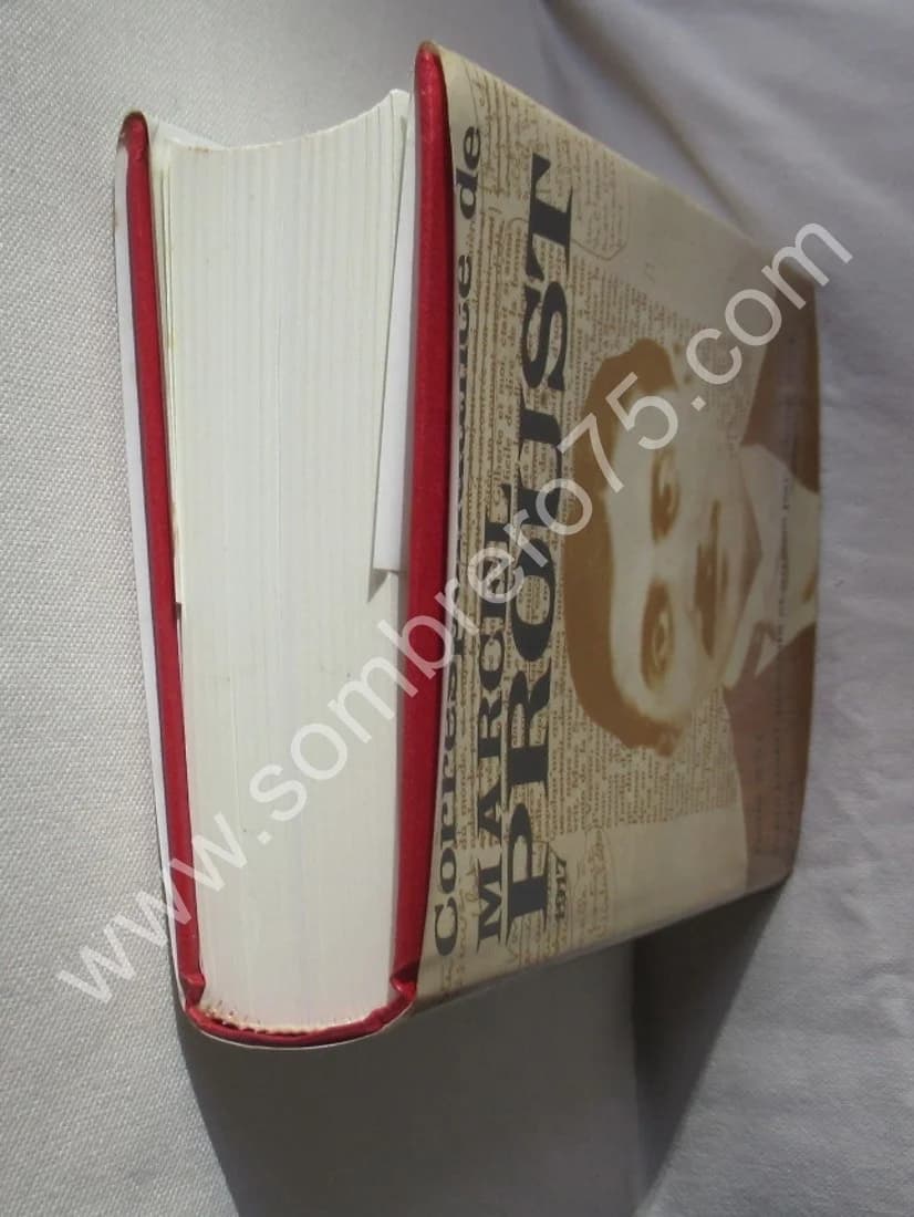 Correspondance de 1917. Tome 16. Texte établi par Philip KOLB - Image 6