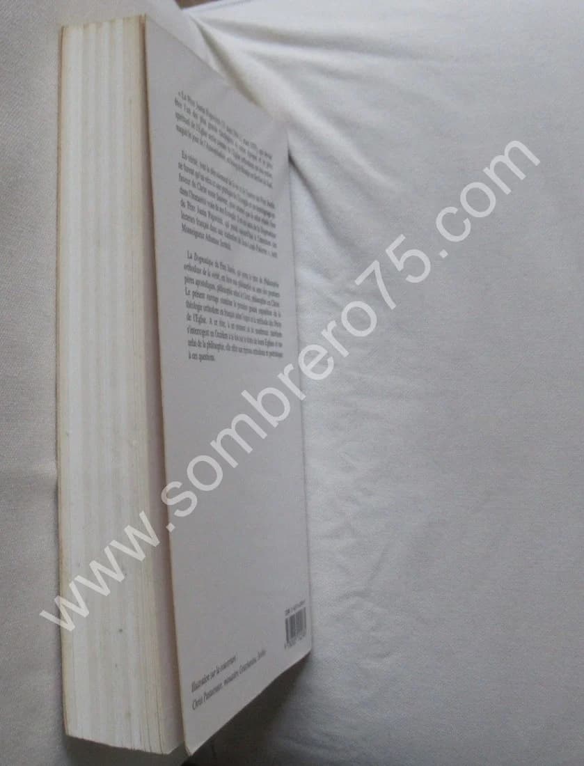 Philosophie Orthodoxe de la Vérité. Tome 1. J. POPOVITCH - Image 5