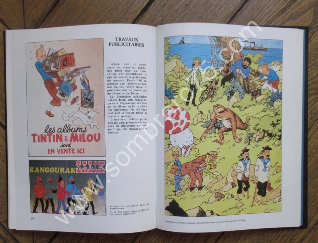 Le Monde d'Hergé.. Hors Commerce. Envoi. 1983 - Image 8