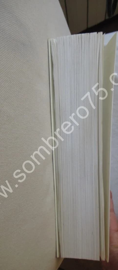 Nabe's Dream - Journal Intime 1. Marc Edouard NABE - Image 5