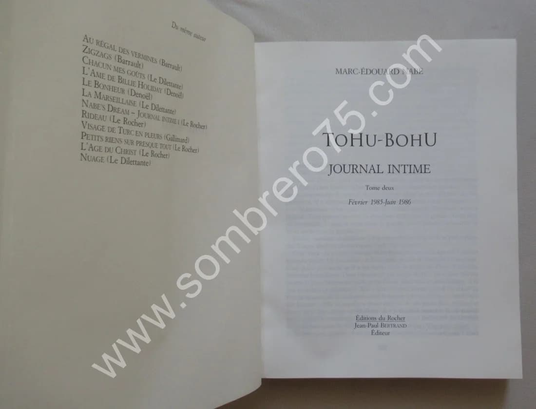 TOHU - BOHU - Journal Intime 2. Marc Edouard NABE - Image 3