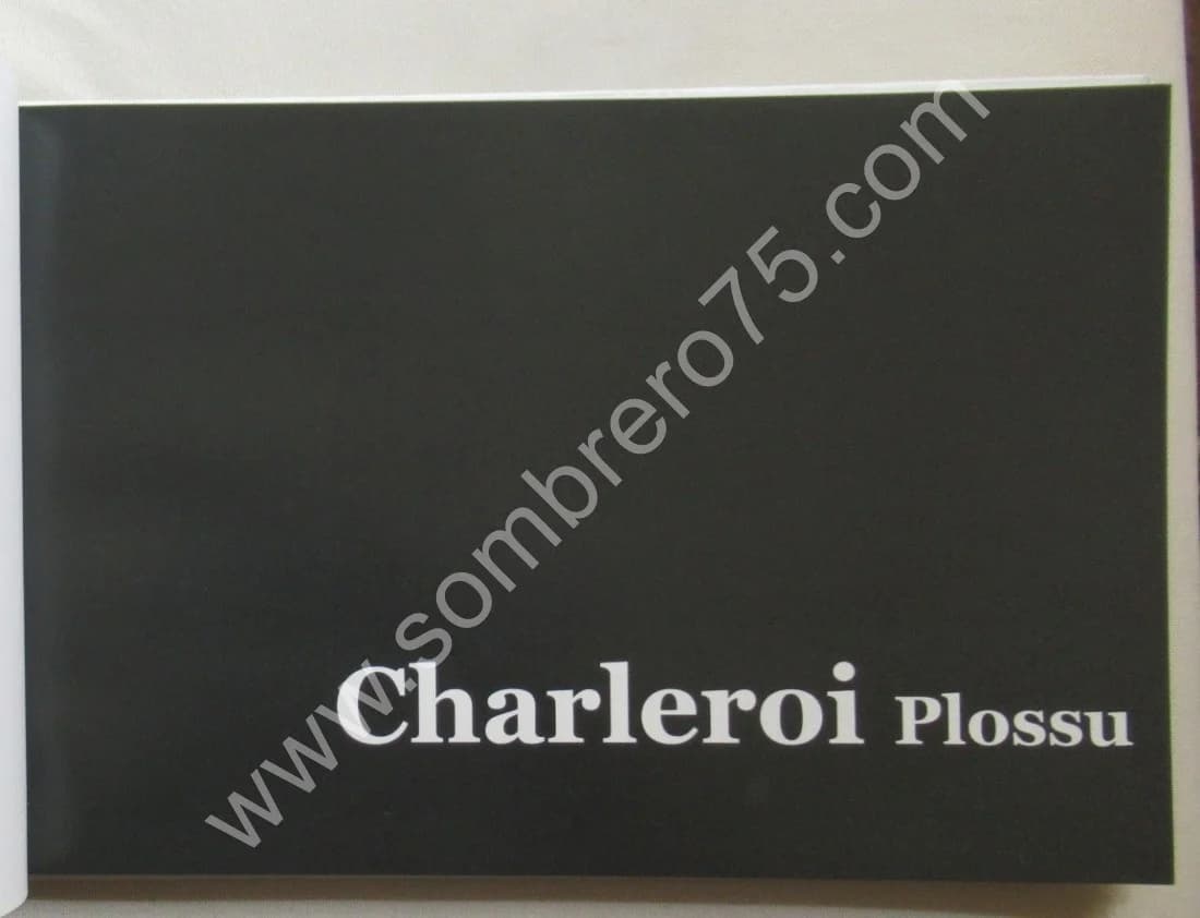 Charleroi Plossu. Exposition. Musée de la Photographie 2011 - Image 3