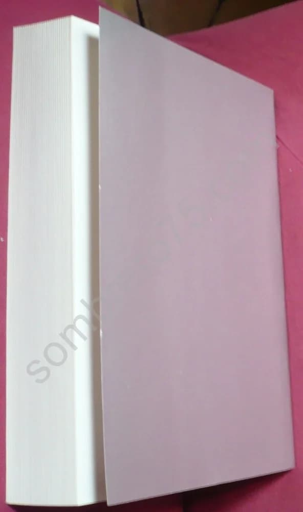 La Poésie de Renée Vivien : Vertigineusement j'allais vers les étoiles - Image 3