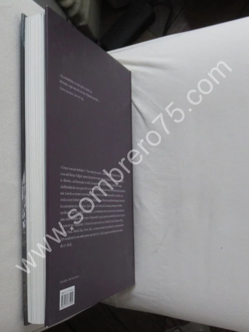 L'Ange du Bizarre. Le romantisme noir de Goya à Max Ernst - Image 12