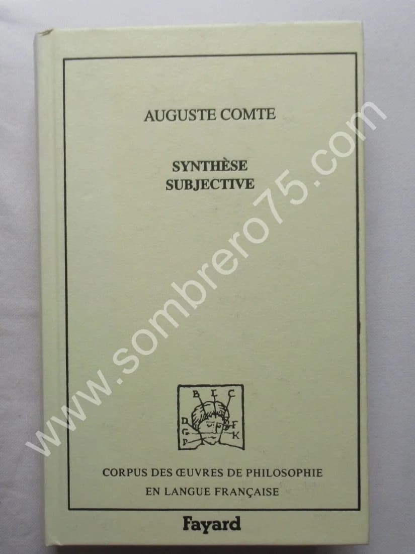 Synthèse Subjective