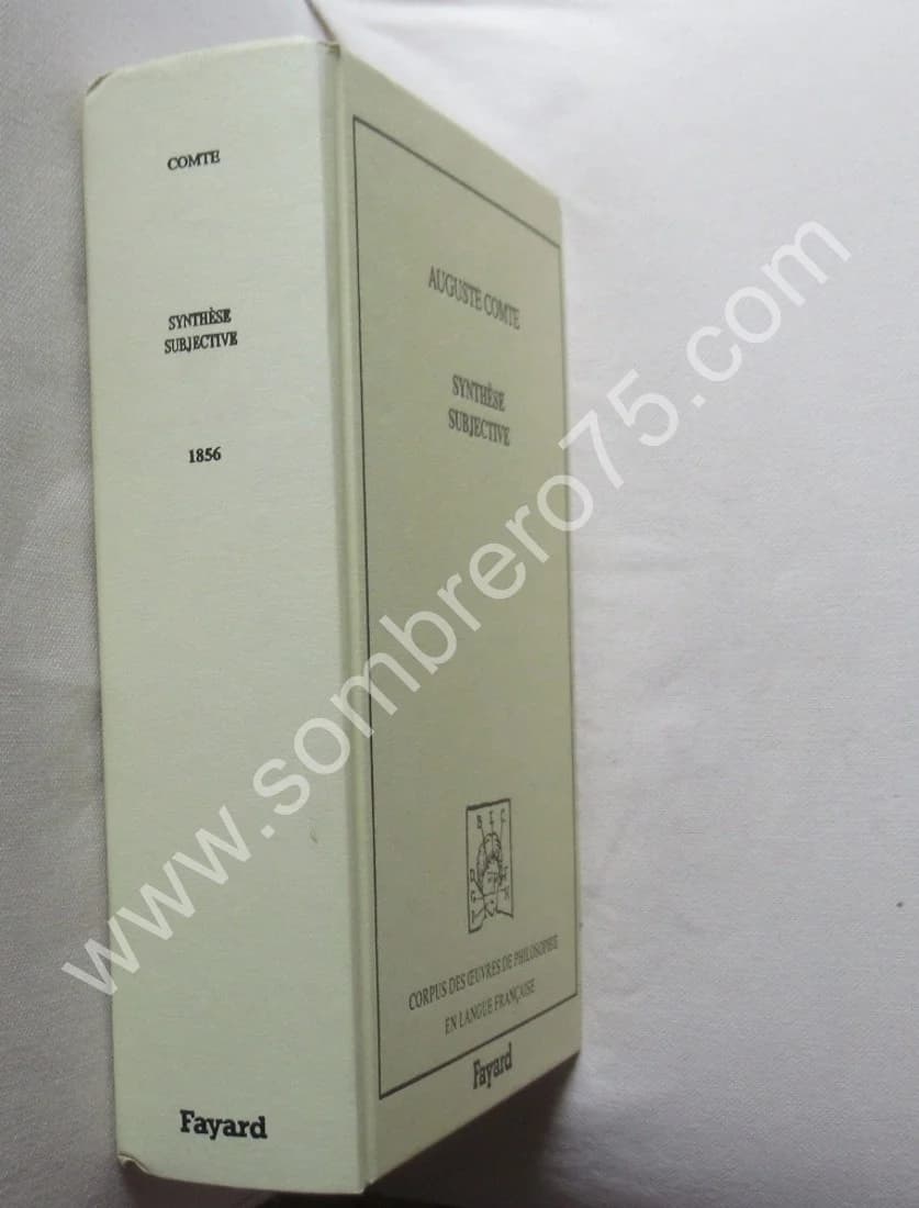 Synthèse Subjective - Image 2