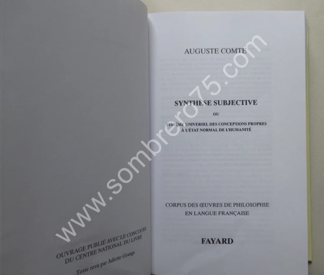 Synthèse Subjective - Image 3