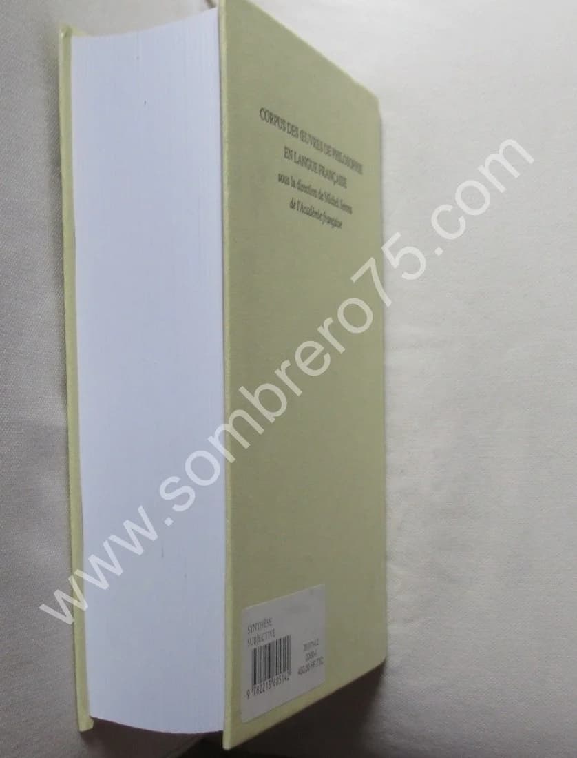 Synthèse Subjective - Image 4