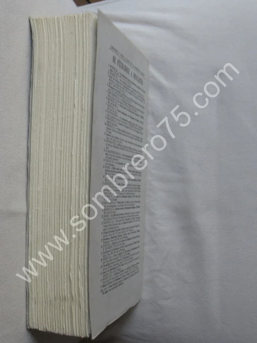 L'Essor de la Philosophie Politique au XVIe siècle - Image 14