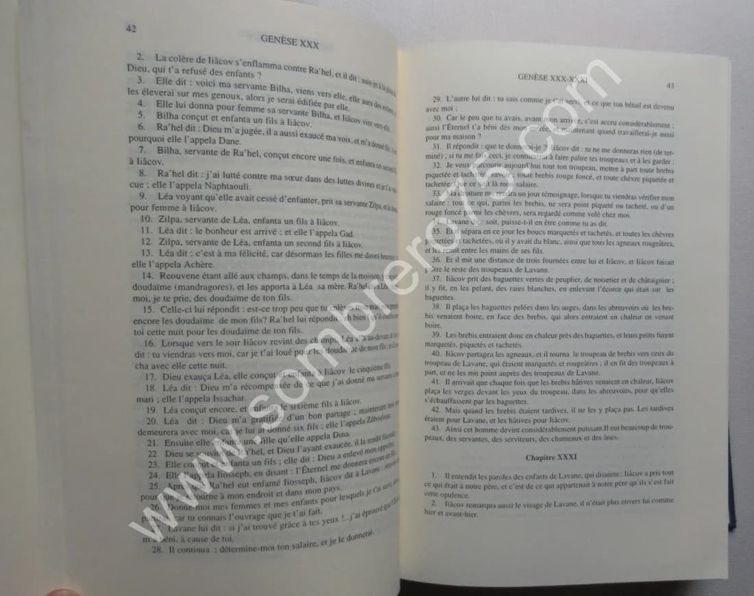 La Bible. Torah - Nevhim - Ketouvim. Trad - Image 4