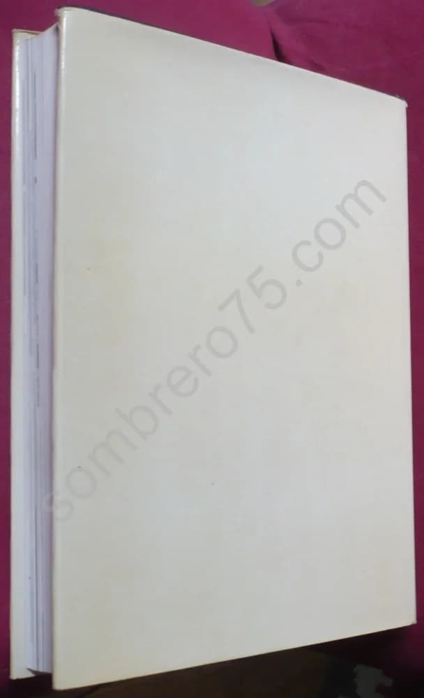 L'Aviation de Chasse Française 1918 1940 - - Raymond Danel - Image 3