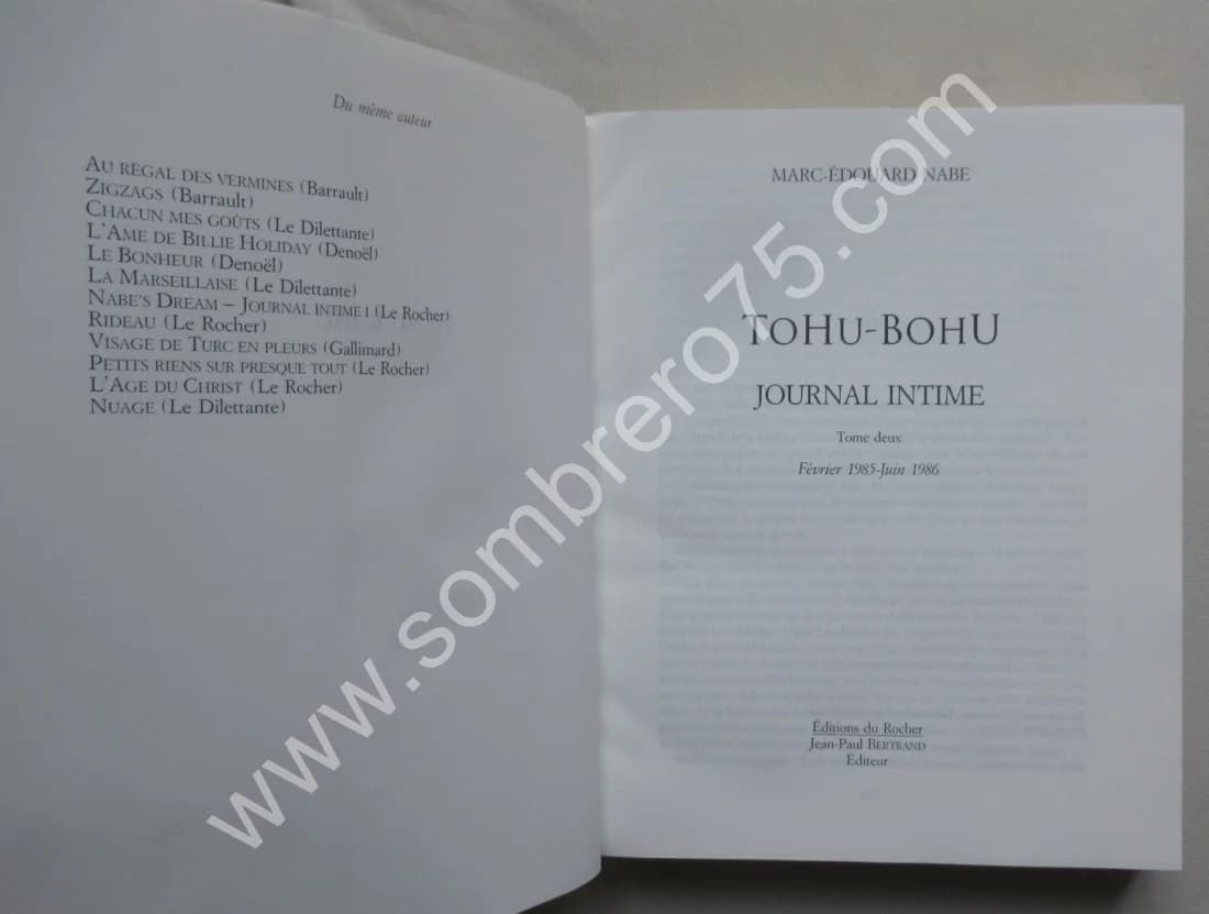TOHU - BOHU - Journal Intime 2. Marc Edouard NABE - Image 3