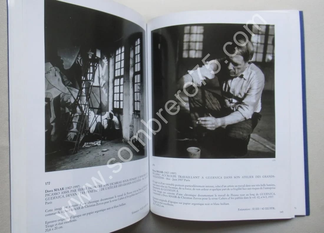 Les Photographies de Dora Maar - Une histoire - Des oeuvres - Image 6