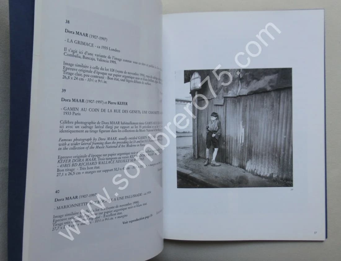 Les Photographies de Dora Maar Une dernière rencontre - Image 5