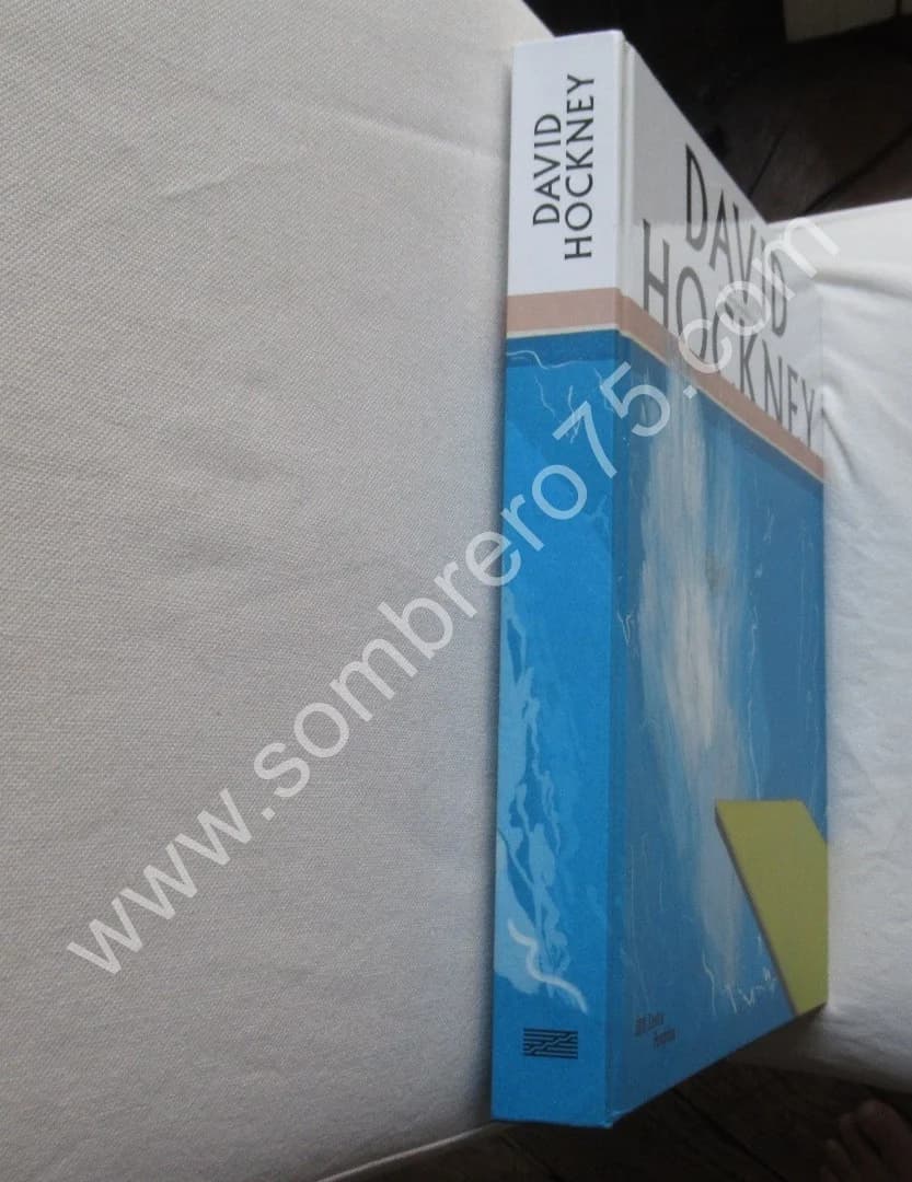 David HOCKNEY - Centre Pompidou 2017 - Image 2