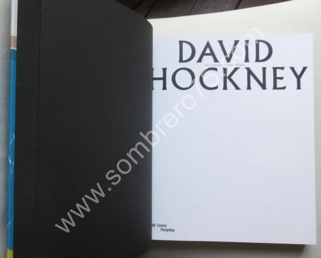 David HOCKNEY - Centre Pompidou 2017 - Image 3