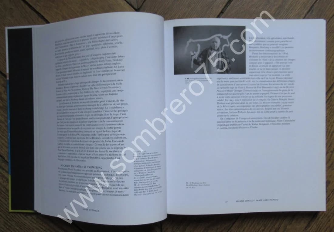 David HOCKNEY - Centre Pompidou 2017 - Image 4