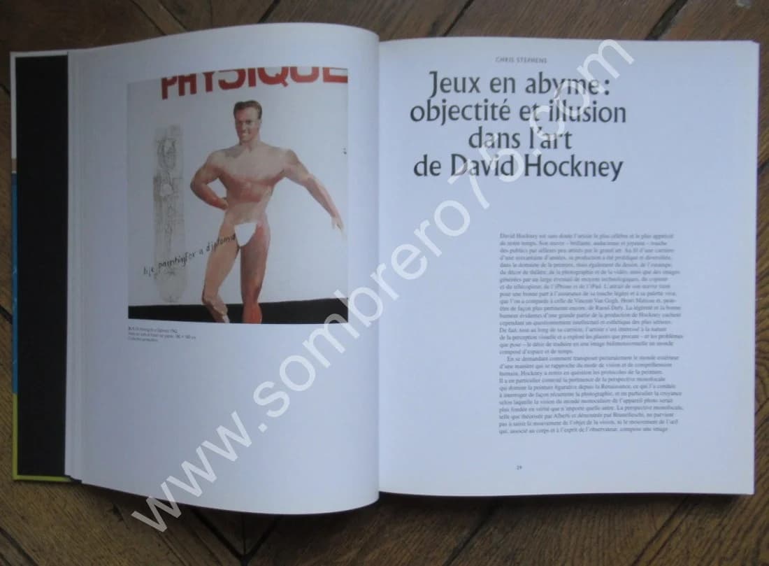 David HOCKNEY - Centre Pompidou 2017 - Image 5