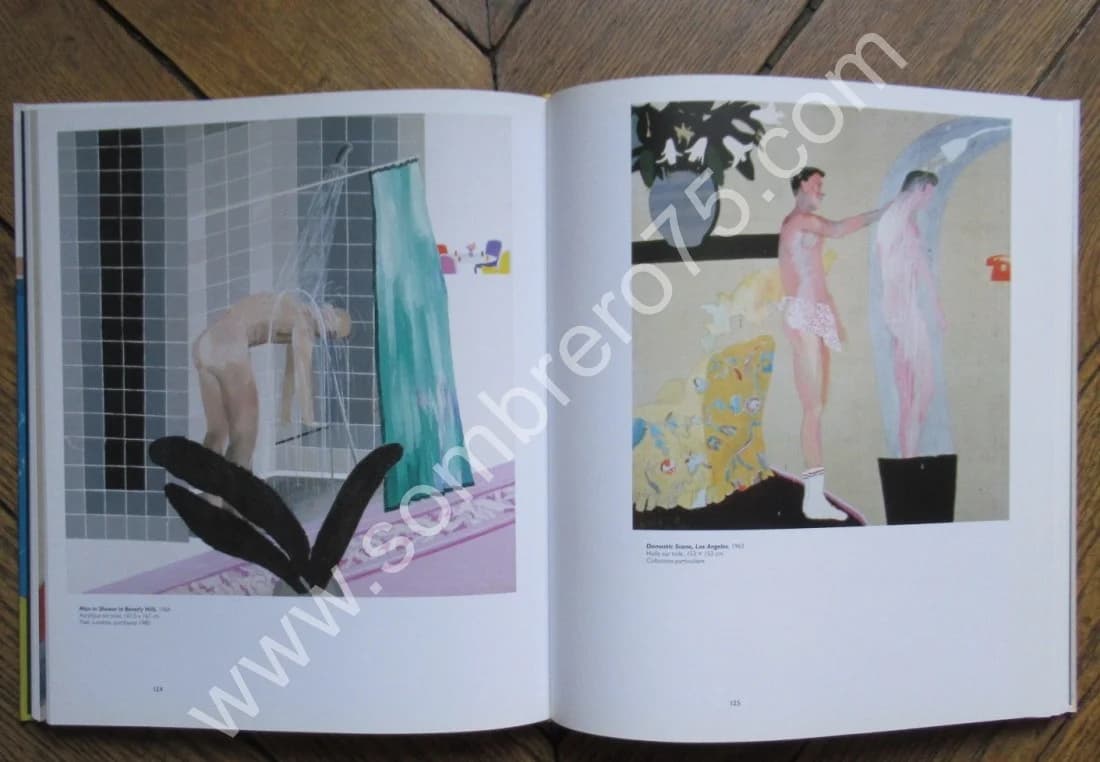 David HOCKNEY - Centre Pompidou 2017 - Image 10