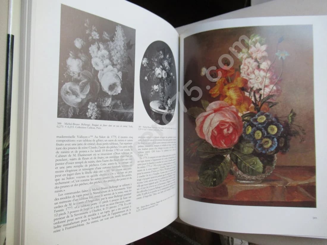 La Vie Silencieuse en France - La Nature Morte au XVIIIe - Image 7