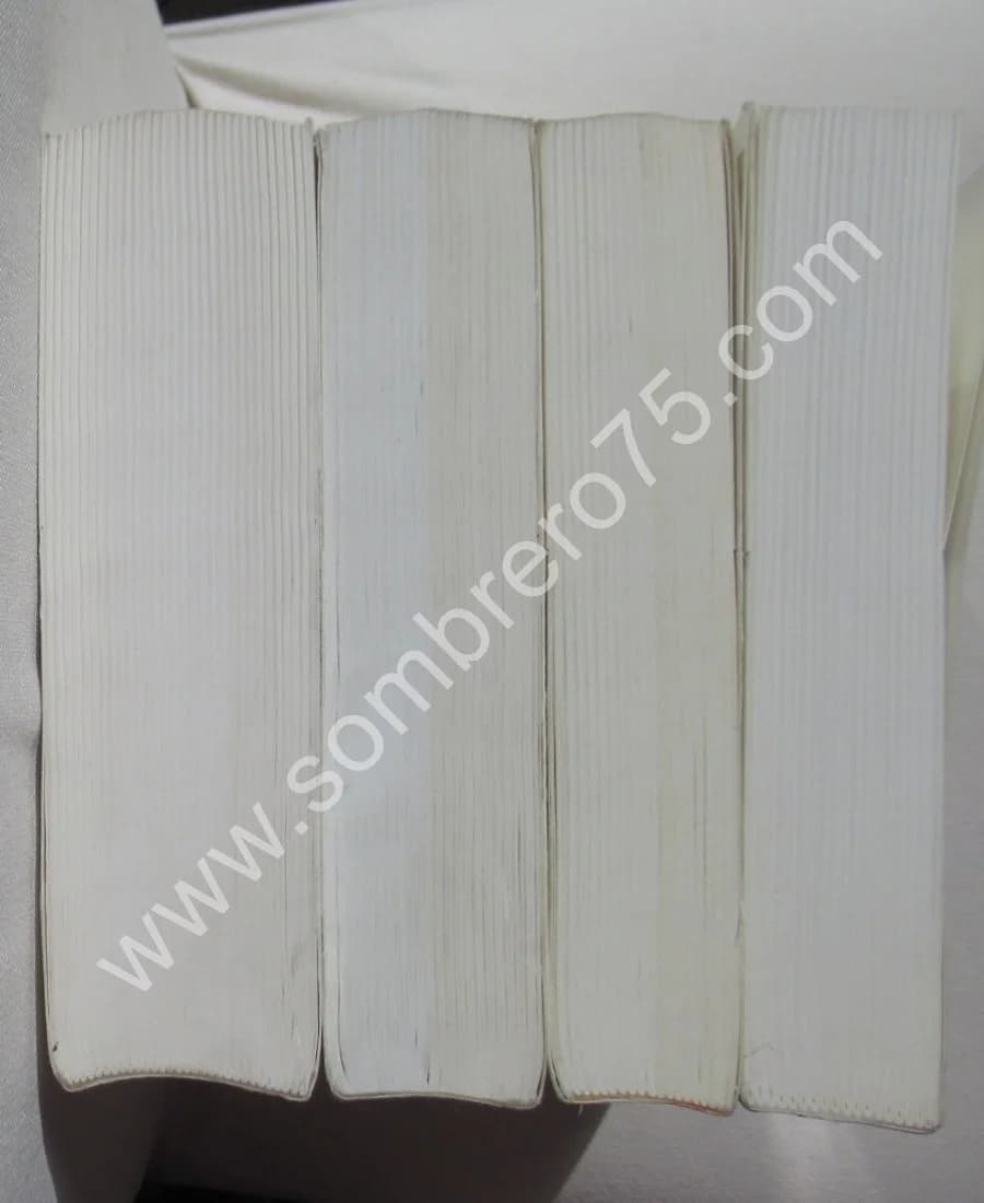 Journal Intime - 4 Vol. Marc Edouard NABE - Image 7