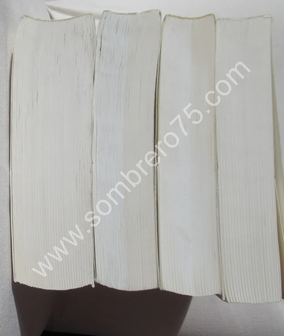 Journal Intime - 4 Vol. Marc Edouard NABE - Image 8