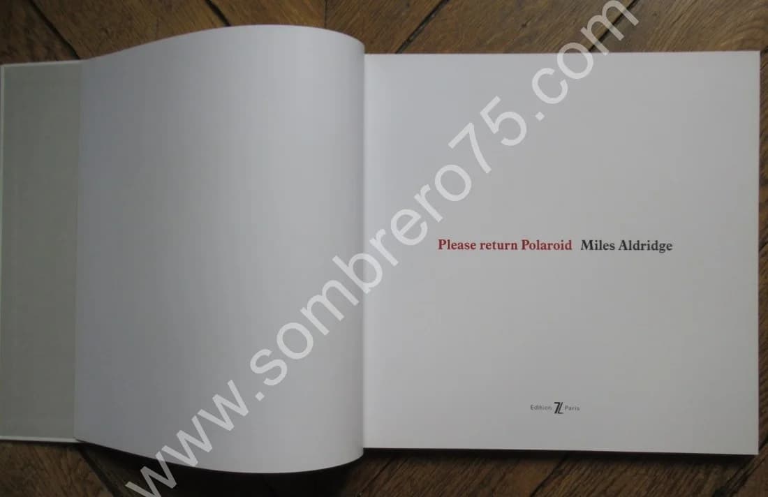 Please Return Polaroid. Miles ALDRIDGE. 2016 - Image 4