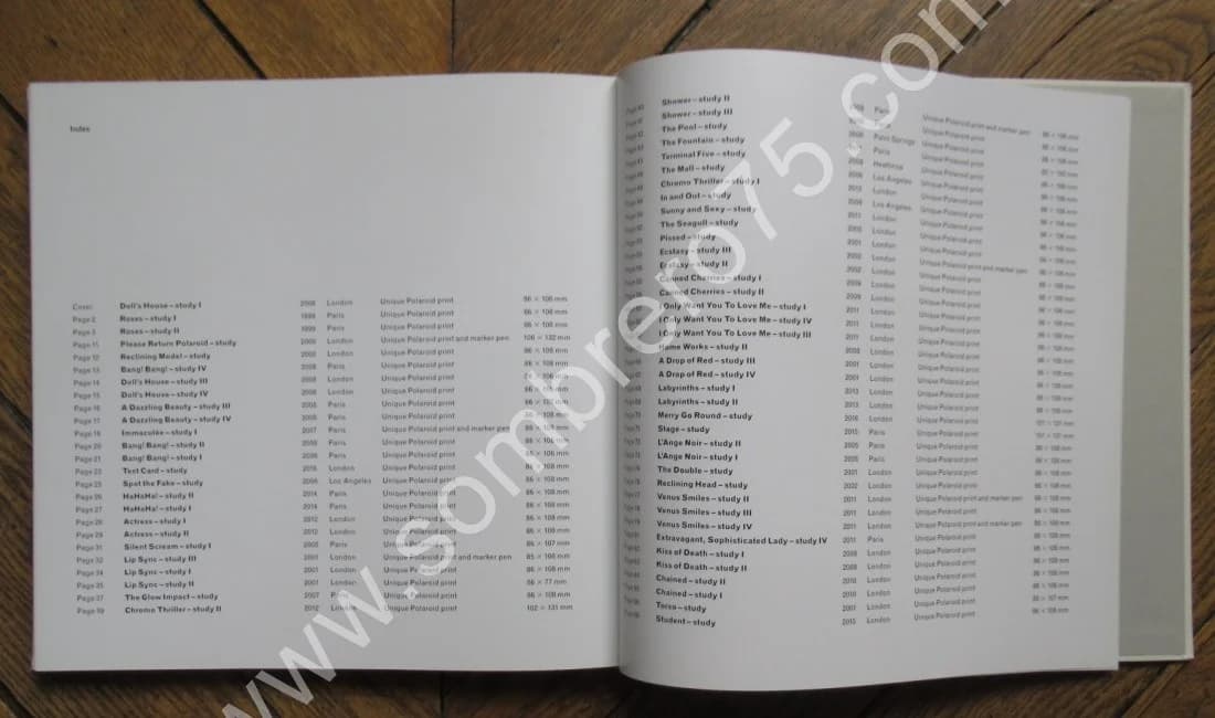 Please Return Polaroid. Miles ALDRIDGE. 2016 - Image 9